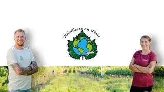 Aktuelle Ausstellung „Rhoihesse on tour“ im mainz STORE – Finissage zur freien Teilnahme am 9. Januar 2025