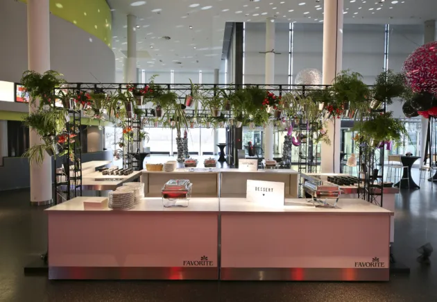 Nachhaltigkeit als Unternehmensphilosophie: mainzplus GmbH erneut ÖKOPROFIT-zertifiziert