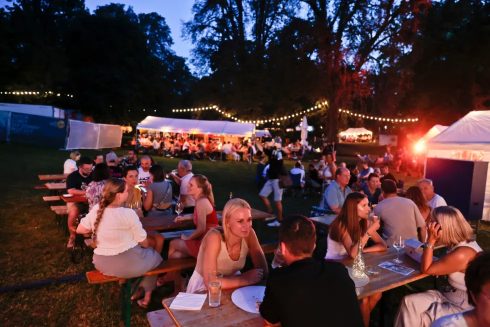 Mainzer Weinmarkt 2025: Genuss, Kultur und Lebensfreude im Stadtpark