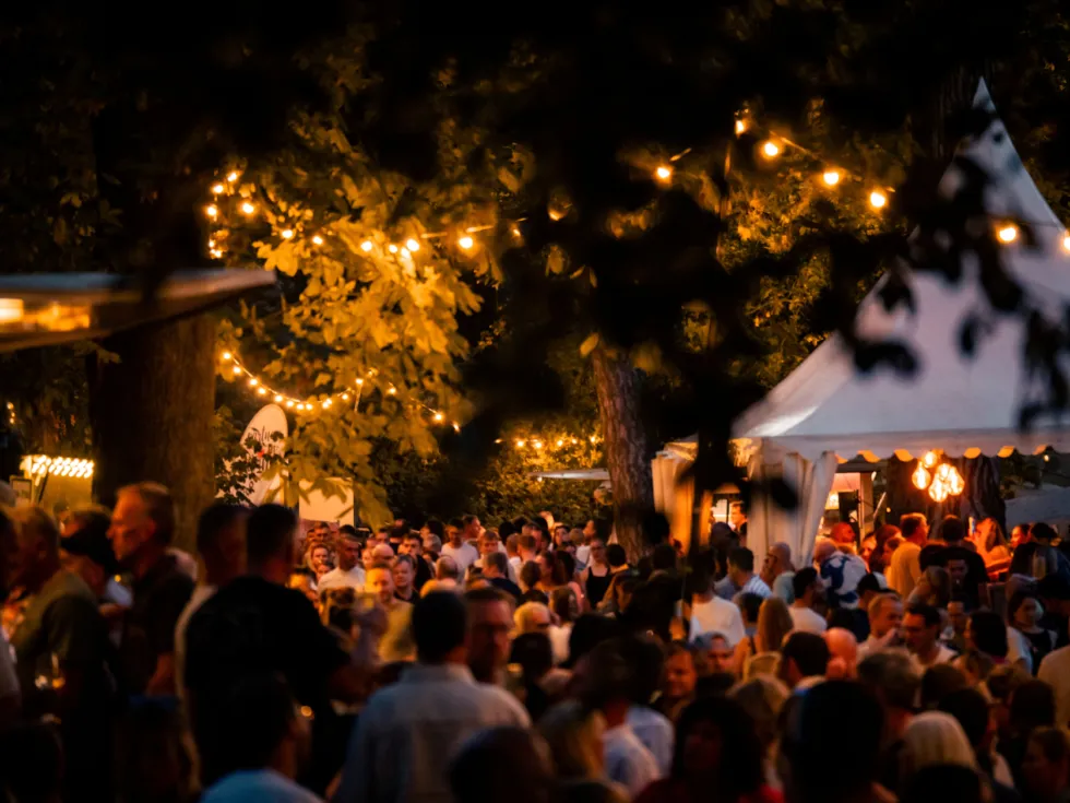 Foto vom Mainzer Weinmarkt, veiel Menschen untern Bäumen, dunkler Abend mit weichem gelben licht